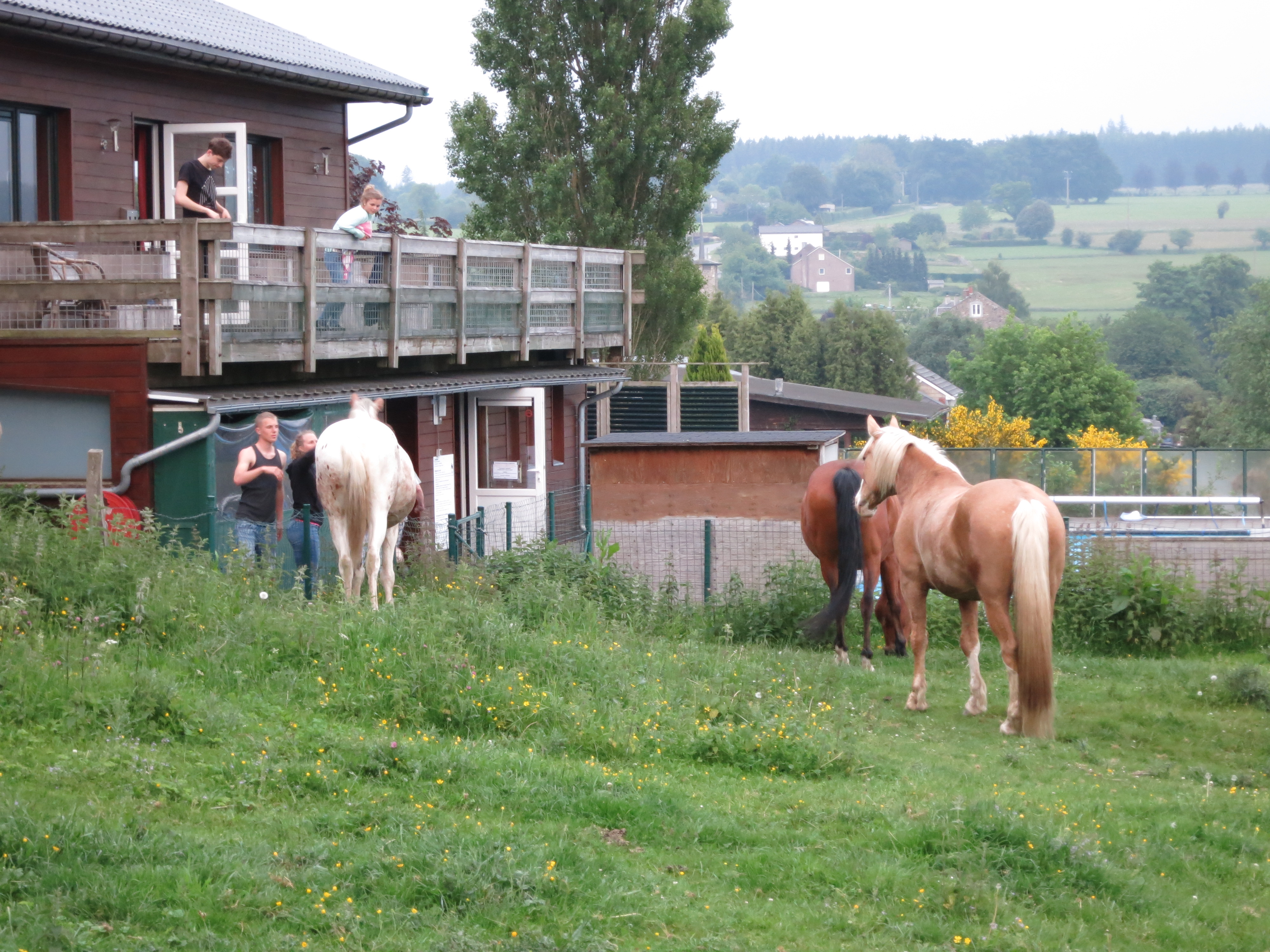 HWK Ardennes 2014 027.jpg